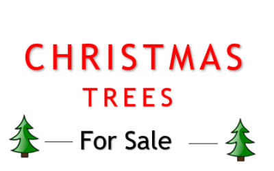 Christmas Tree Sale!