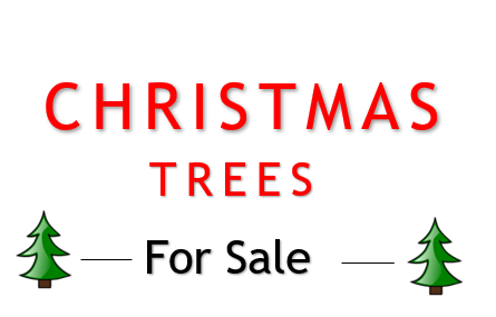 Christmas Tree Sale!